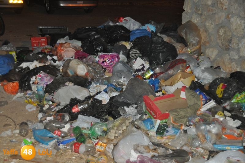 trash lud 907 (32).JPG